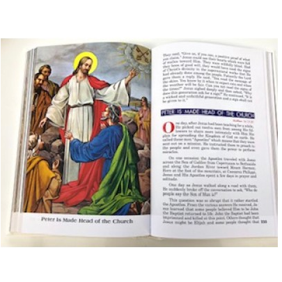 Catholic Child's First Bible