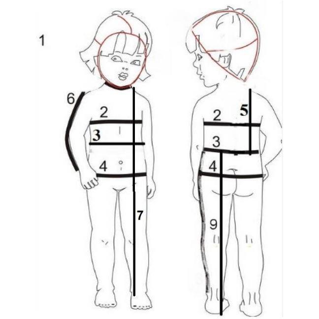 child body measurements