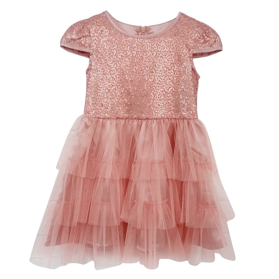 Lisa sequins dress- pink