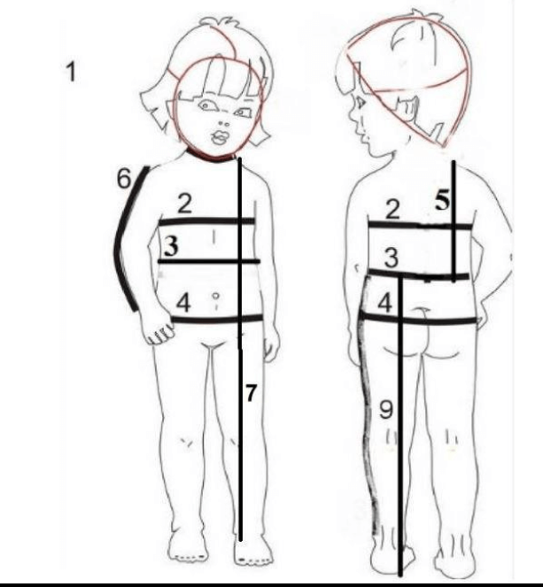 measurement size chart
